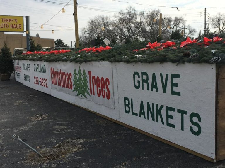 124823814 2784715968519830 7429948175937449747 n 768x576