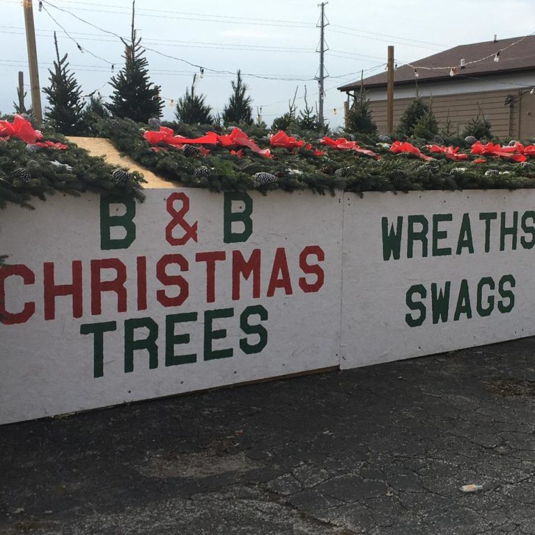 124945722 2784715081853252 8874900938111777031 n 768x768