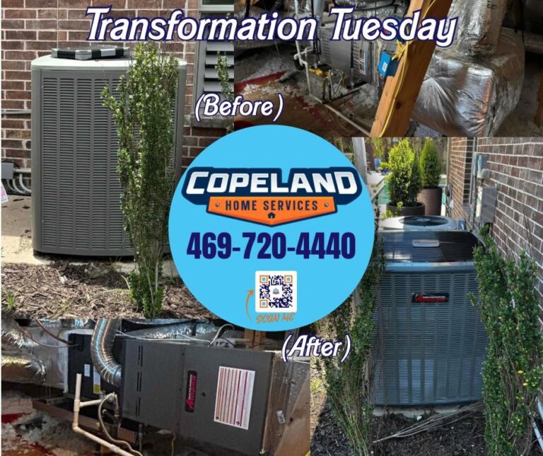 WhatsApp Image 2024 07 15 at 4.04.47 AM 1 768x644